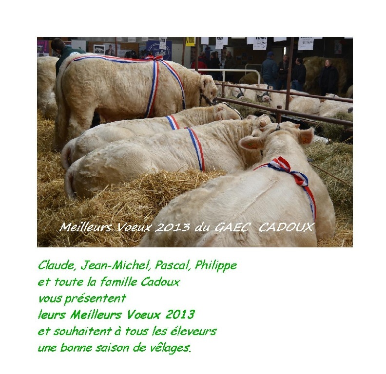 Bonne Anne 2013
